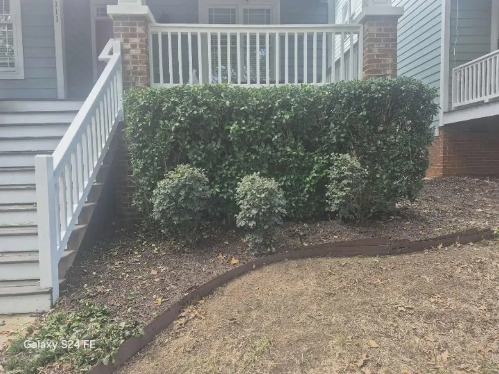 Reliable garden landscaping for outdoor upgrades across Raleigh, NC - Freddie's Landscaping