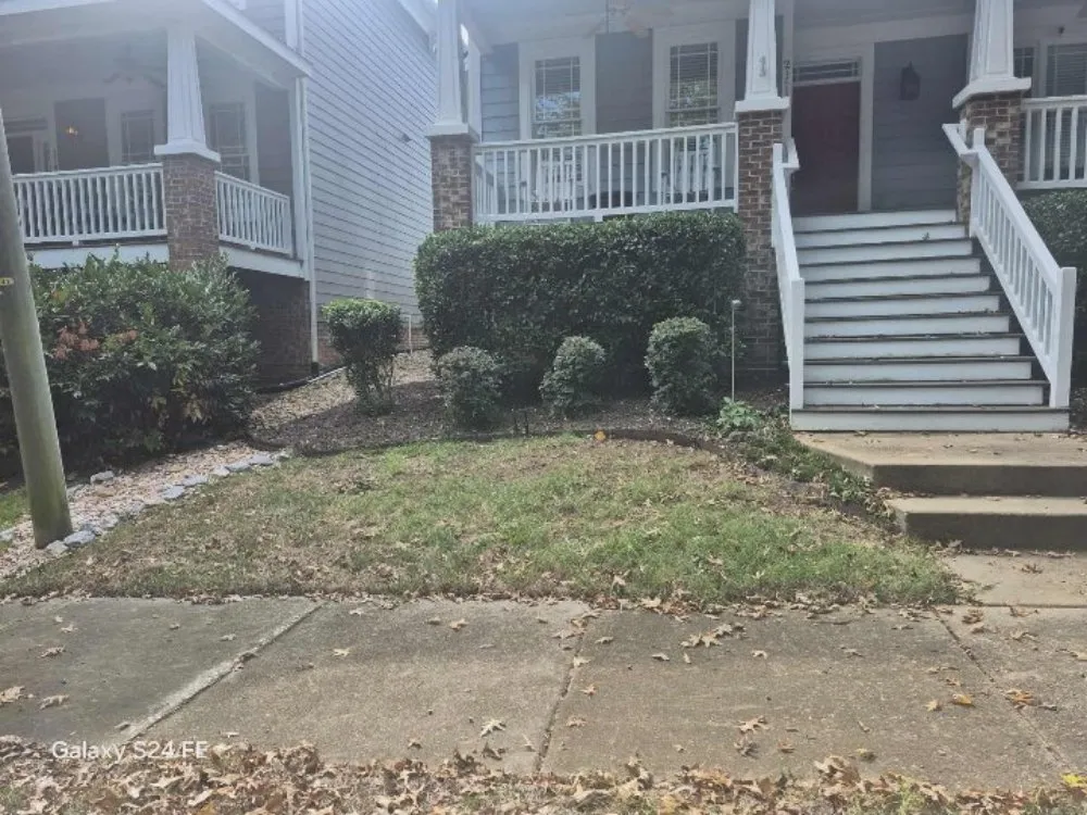 Local landscape design for year-round maintenance in Raleigh, NC by Freddie's Landscaping