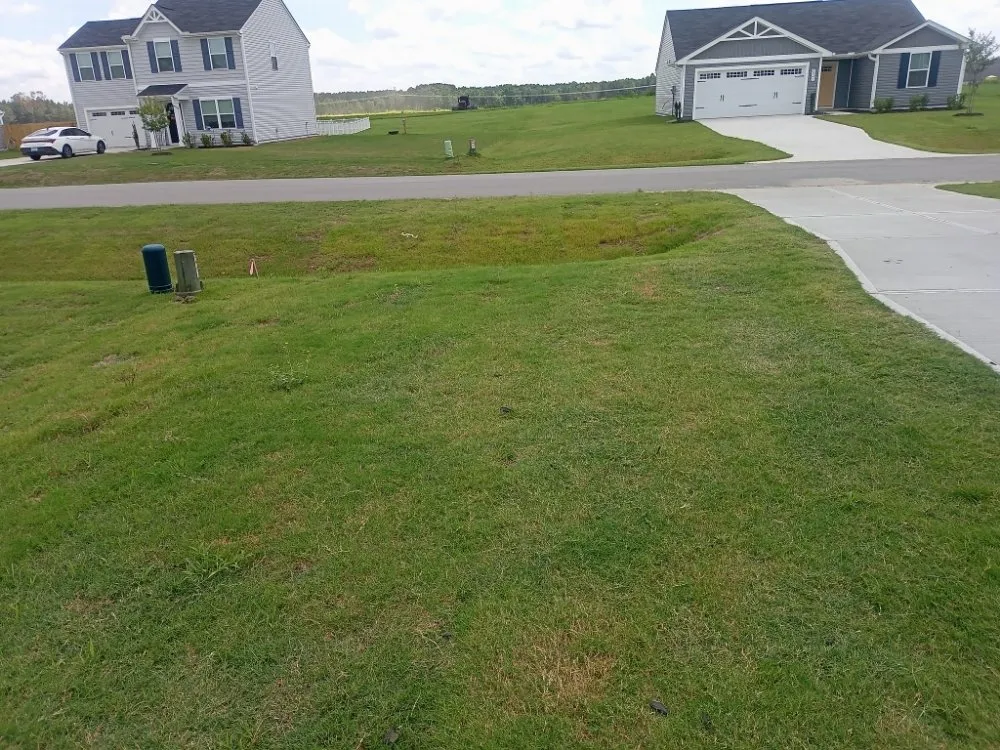 Expert landscaping services for outdoor upgrades across Raleigh, NC - Freddie's Landscaping