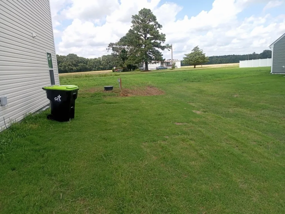 Professional residential landscaping in Raleigh, NC - Freddie's Landscaping