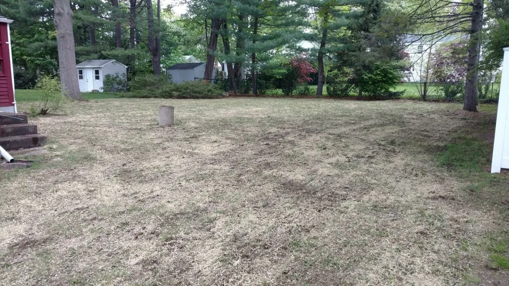 Top-rated lawn care service in Manchester, CT - Freddies Landscaping Services
