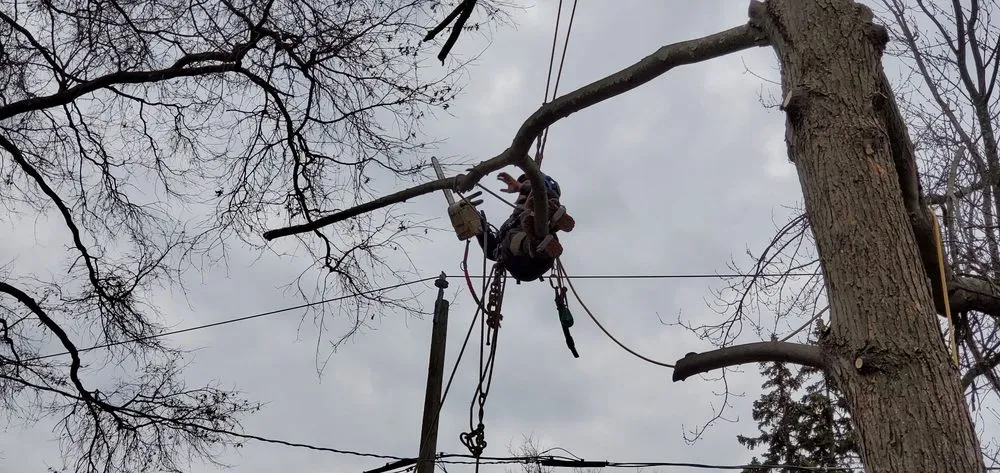 Custom outdoor landscaping for beautiful yards across Manchester, CT - Freddies Landscaping Services