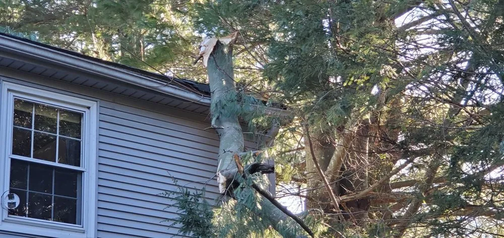 Reliable lawn mowing service near you in Manchester, CT by Freddies Landscaping Services