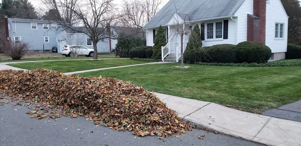 Top-rated garden landscaping in Manchester, CT by Freddies Landscaping Services