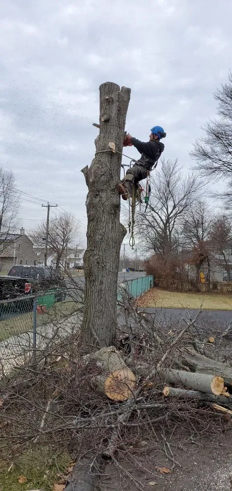 Professional outdoor landscaping in Manchester, CT by Freddies Landscaping Services