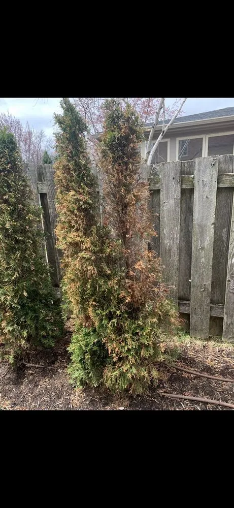 Affordable landscape installation in Kildeer, IL by Freddy & Bros Landscaping