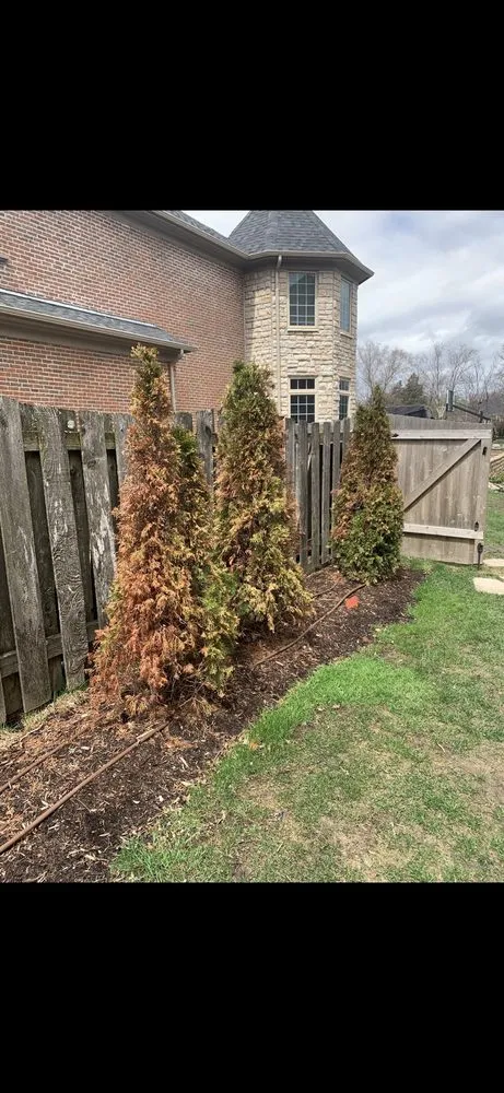 Reliable garden landscaping for beautiful yards in Kildeer, IL by Freddy & Bros Landscaping