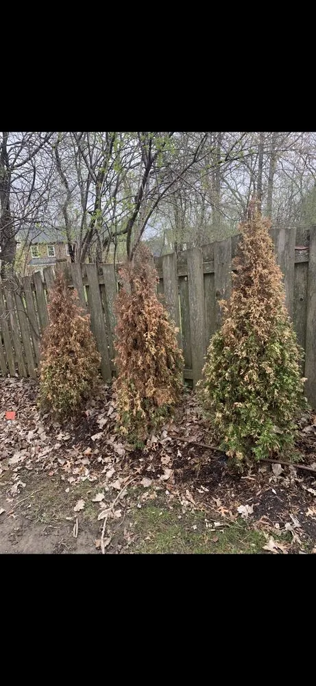 Top-rated yard maintenance for residential properties across Kildeer, IL - Freddy & Bros Landscaping