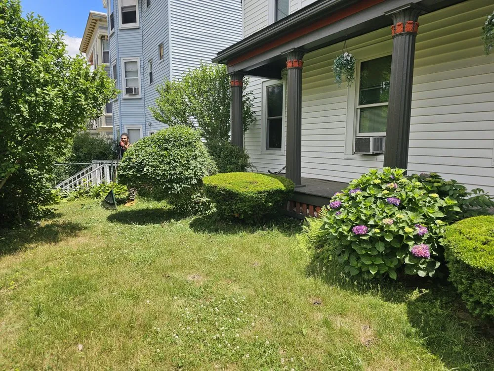 Custom landscape installation with custom design across Millis, MA - Freddy & Sons Landscape and Handyman