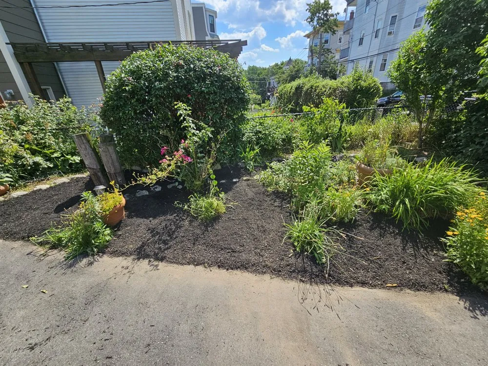 Expert yard cleanup service for residential properties in Millis, MA by Freddy & Sons Landscape and Handyman