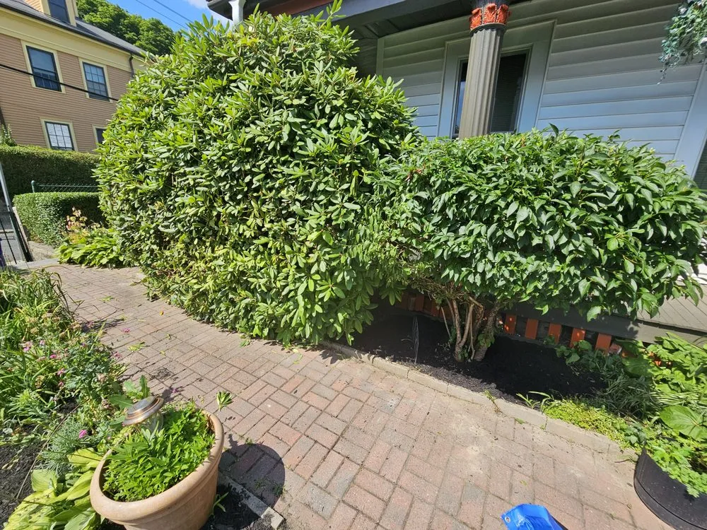 Professional landscaping services in Millis, MA by Freddy & Sons Landscape and Handyman