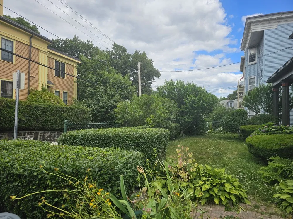 Affordable lawn mowing service in Millis, MA - Freddy & Sons Landscape and Handyman