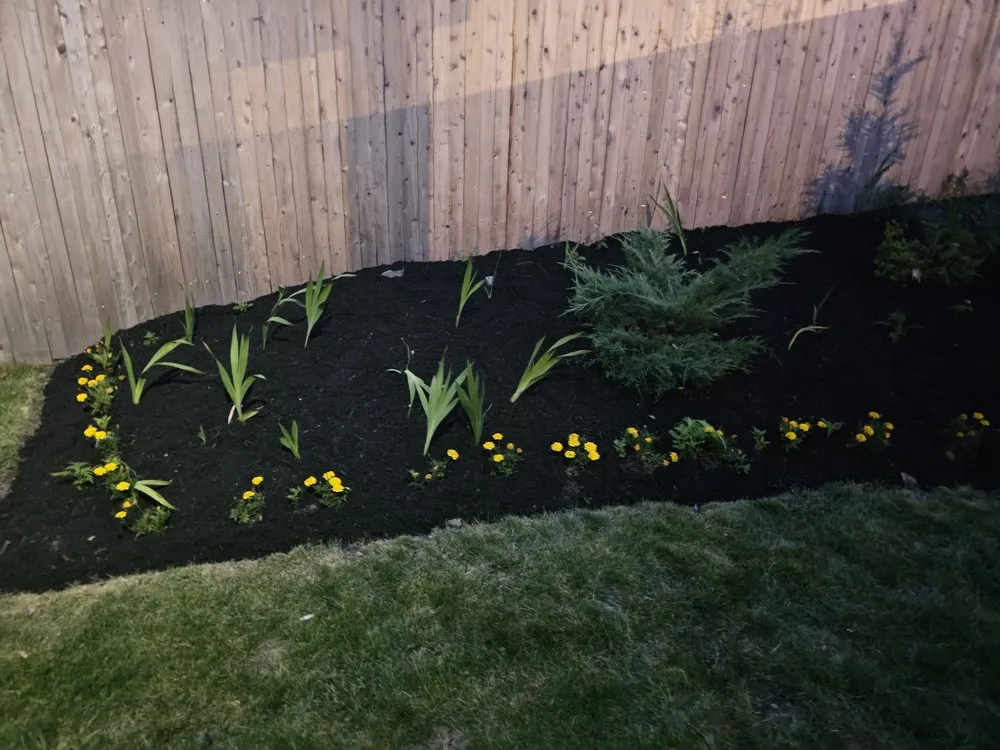 Expert outdoor landscaping for beautiful yards in Millis, MA by Freddy & Sons Landscape and Handyman