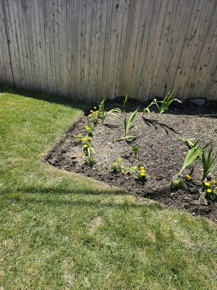 Custom landscape design experts serving Millis, MA - Freddy & Sons Landscape and Handyman