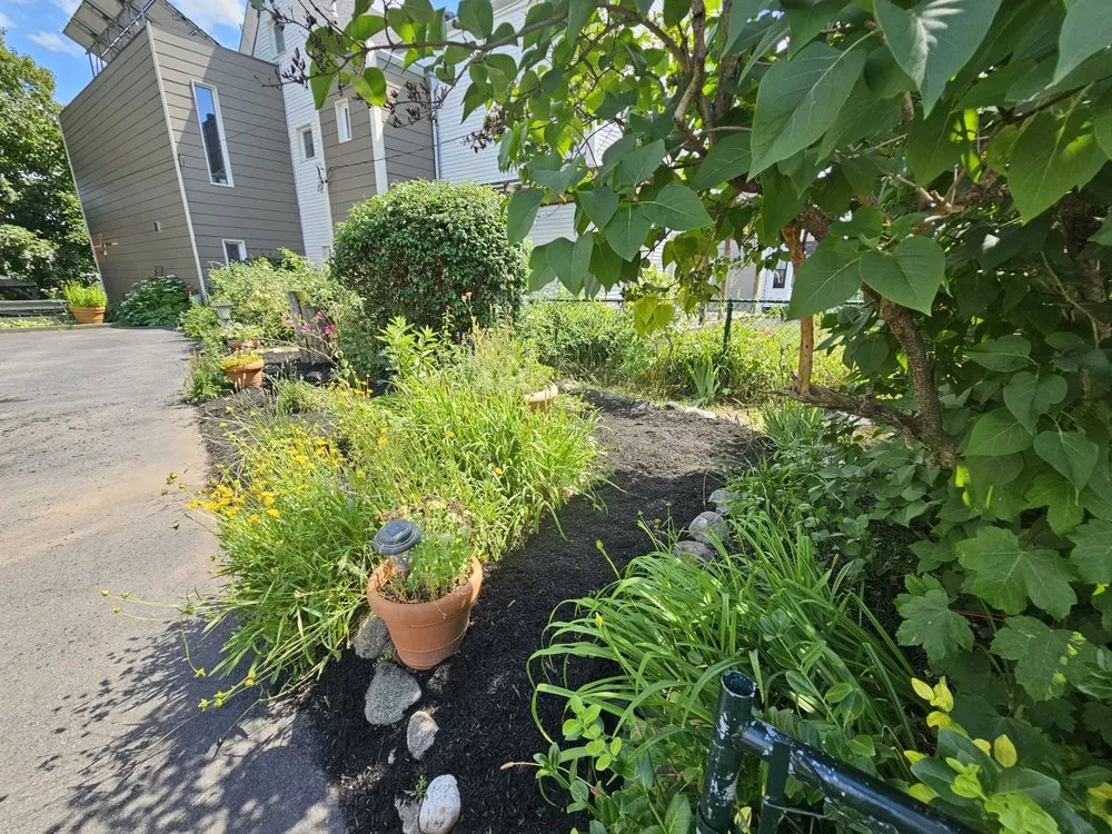 Local outdoor landscaping in Millis, MA by Freddy & Sons Landscape and Handyman