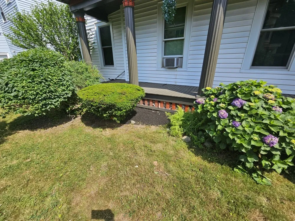 Affordable residential landscaping near you in Millis, MA by Freddy & Sons Landscape and Handyman