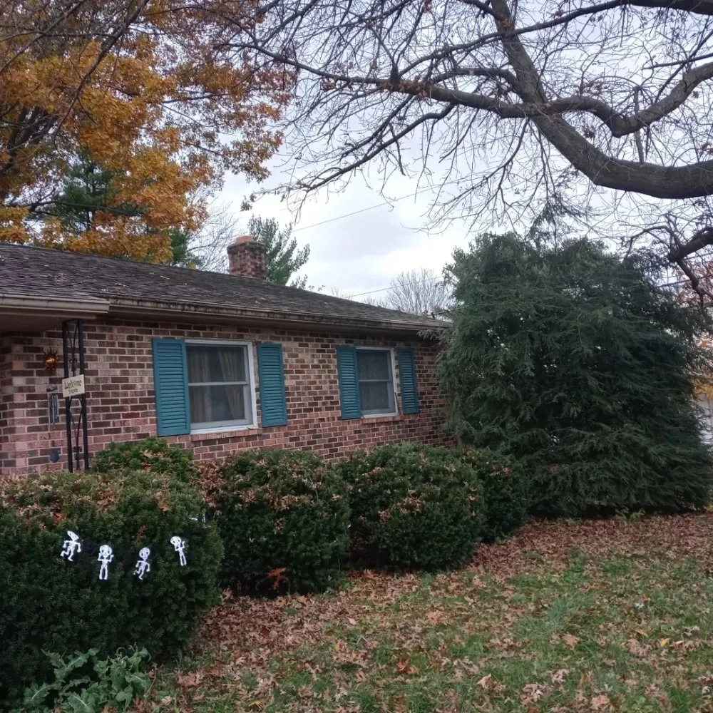 Expert yard maintenance in Camp Hill, PA by Freddy Wolfe's Services