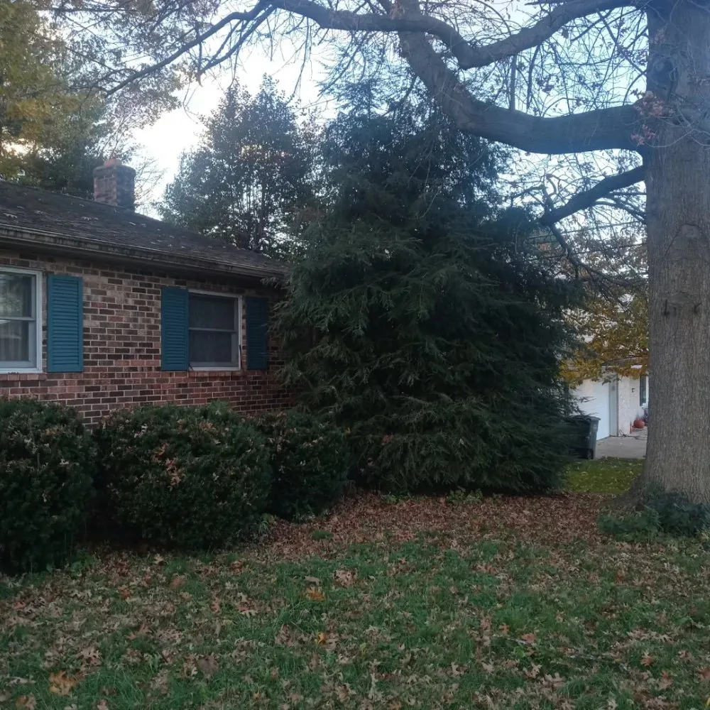 Local lawn care service experts serving Camp Hill, PA - Freddy Wolfe's Services