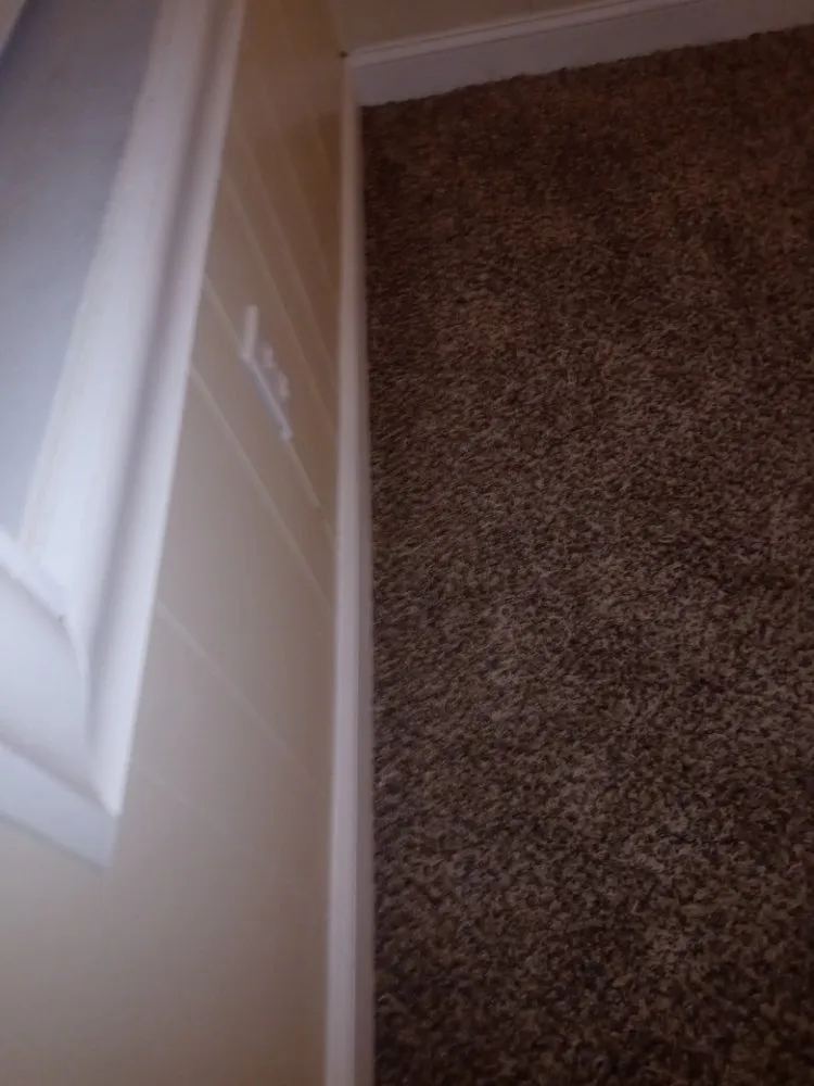 Custom residential landscaping in Camp Hill, PA by Freddy Wolfe's Services