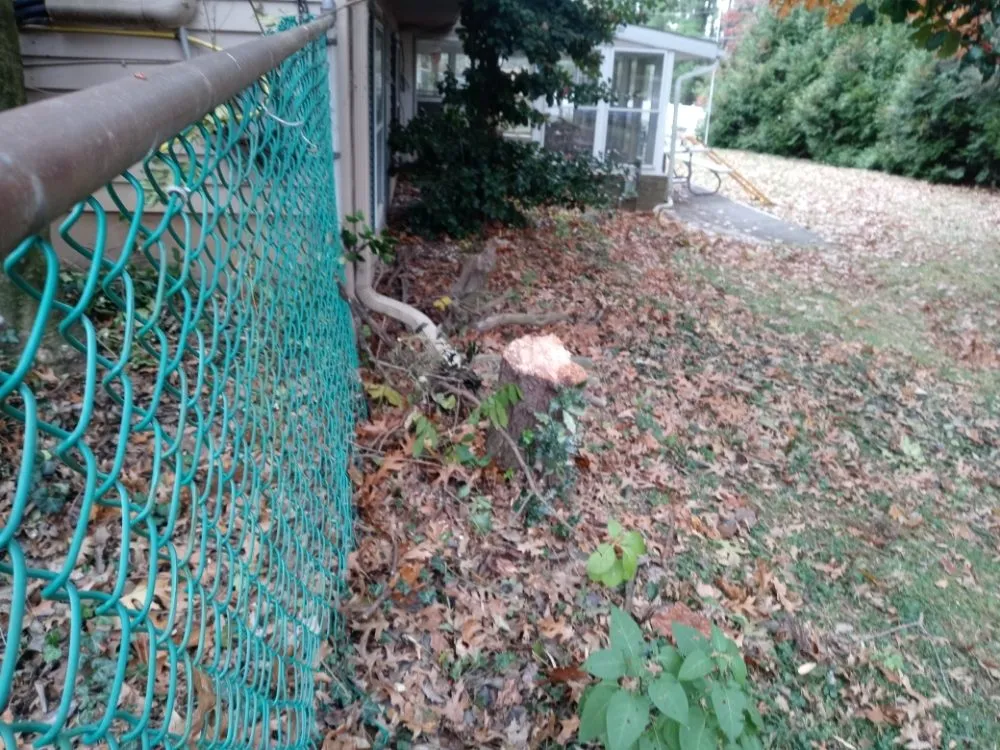 Custom garden landscaping in Camp Hill, PA - Freddy Wolfe's Services