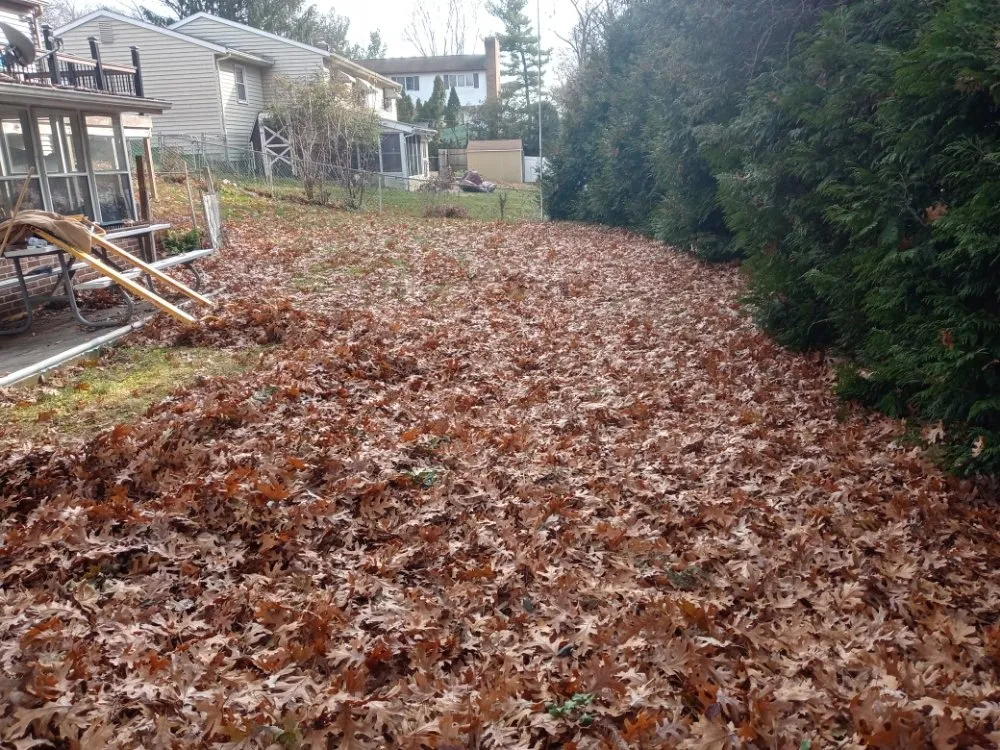 Reliable outdoor landscaping for homes in Camp Hill, PA by Freddy Wolfe's Services