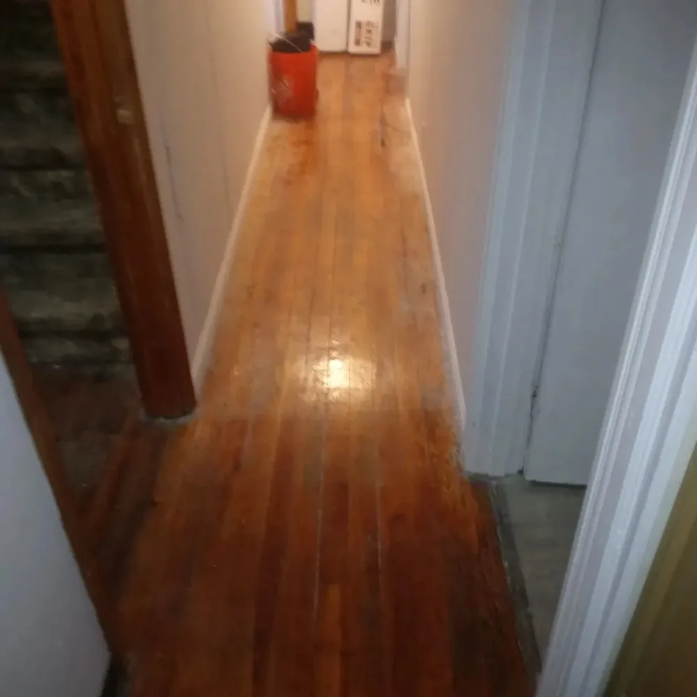 Expert garden landscaping in Camp Hill, PA - Freddy Wolfe's Services