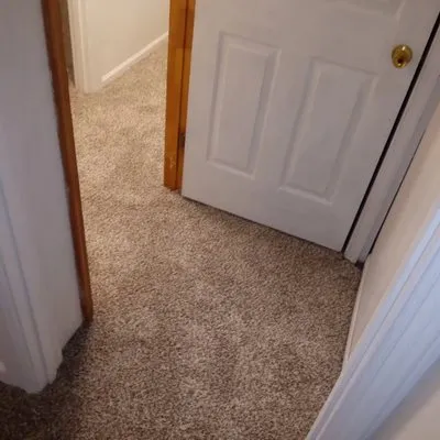 Freddy Wolfe's Services