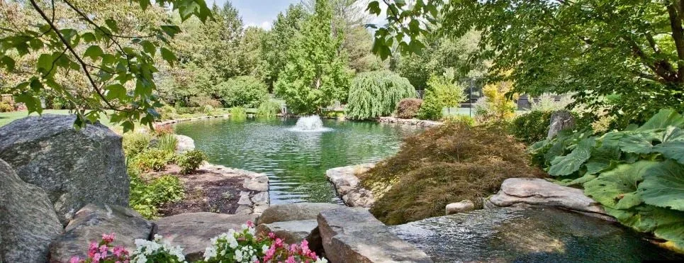 Custom yard cleanup service experts serving Fairfield, CT - Freddy's Landscape Company