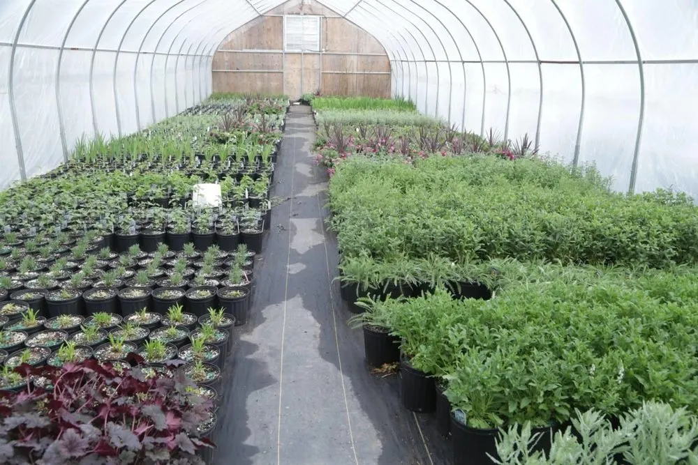 Affordable residential landscaping near you in Fairfield, CT by Freddy's Landscape Company