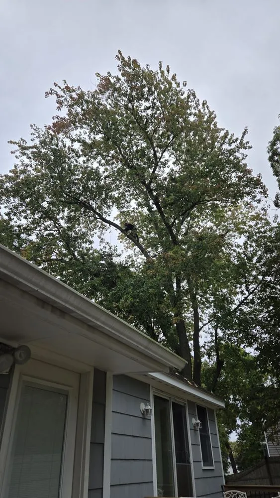 Custom residential landscaping experts serving Lynn, MA - Freddy's Landscaping & Tree Service