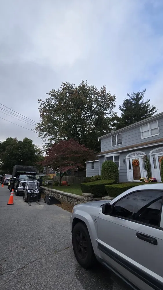 Local yard cleanup service in Lynn, MA - Freddy's Landscaping & Tree Service