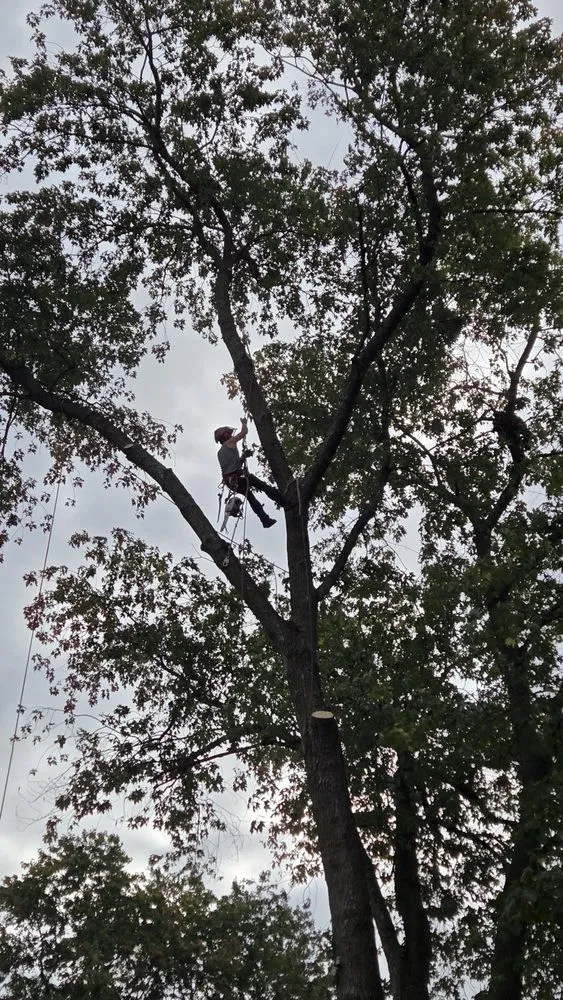 Top-rated landscape design in Lynn, MA by Freddy's Landscaping & Tree Service