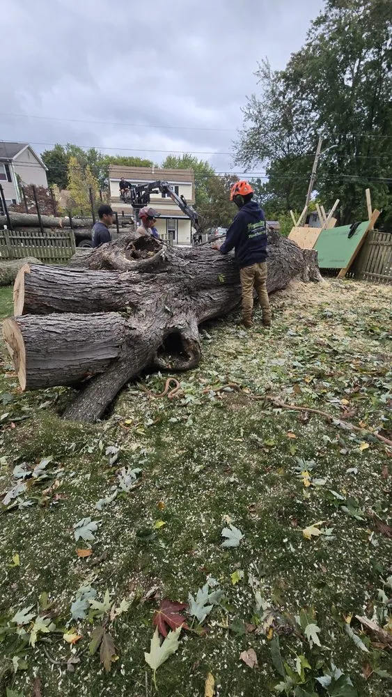 Trusted yard cleanup service in Lynn, MA - Freddy's Landscaping & Tree Service