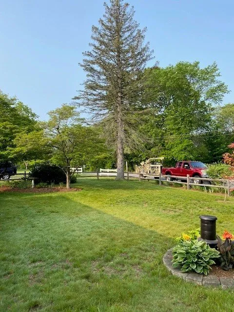 Reliable lawn care service for beautiful yards in Lynn, MA by Freddy's Landscaping & Tree Service