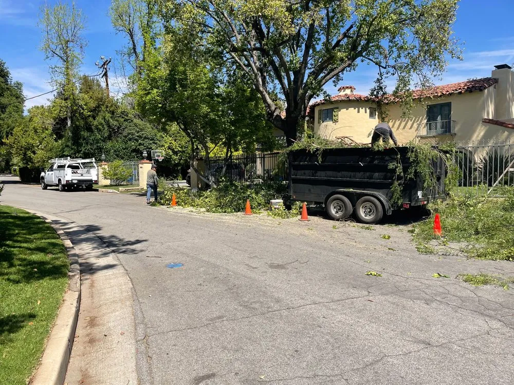 Local garden landscaping in Chatsworth, CA - Freddy's Landscaping and Maintenance Services