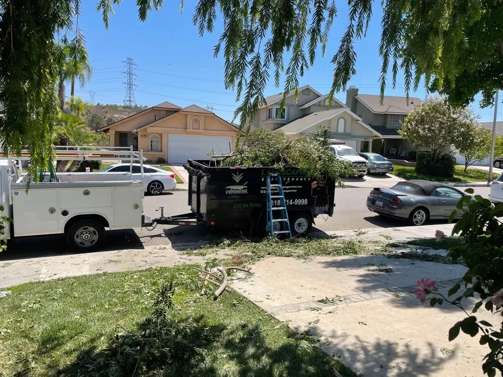 Expert residential landscaping with custom design in Chatsworth, CA by Freddy's Landscaping and Maintenance Services