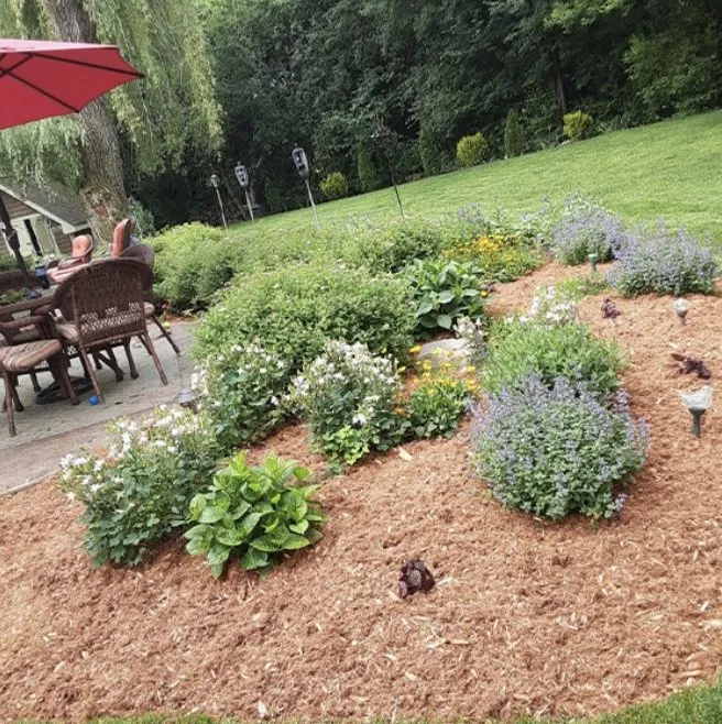 Top-rated lawn care service near you across Palatine, IL - Freddy's Landscaping