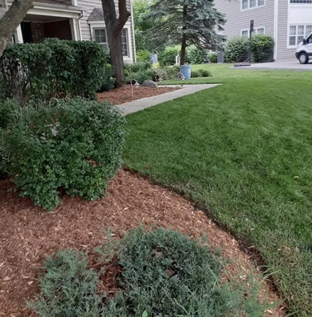 Custom yard cleanup service for outdoor upgrades in Palatine, IL by Freddy's Landscaping