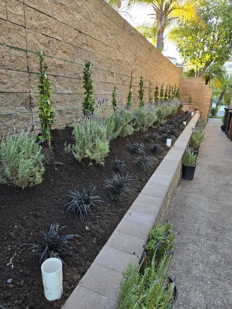 Expert residential landscaping for outdoor upgrades in Yorba Linda, CA by Freddy's Landscaping