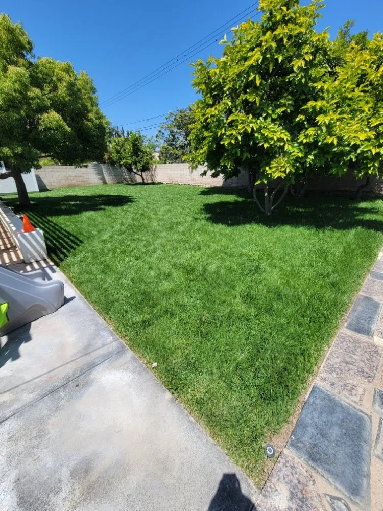 Affordable landscape design in Yorba Linda, CA - Freddy's Landscaping