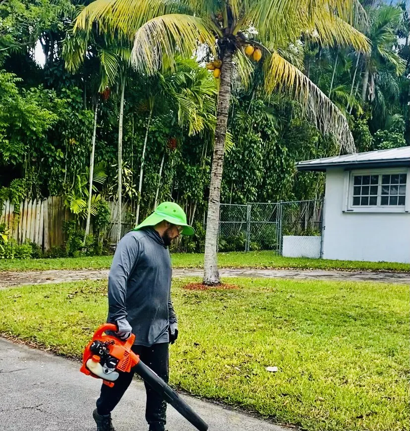 Custom landscaping services in Miami, FL - Freddy’s Lawn Maintenance