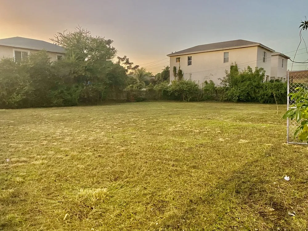 Local lawn care service experts serving Miami, FL - Freddy’s Lawn Maintenance