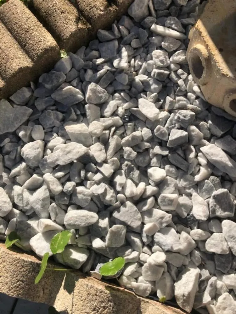 Custom yard maintenance for homes in Miami, FL by Freddy’s Lawn Maintenance