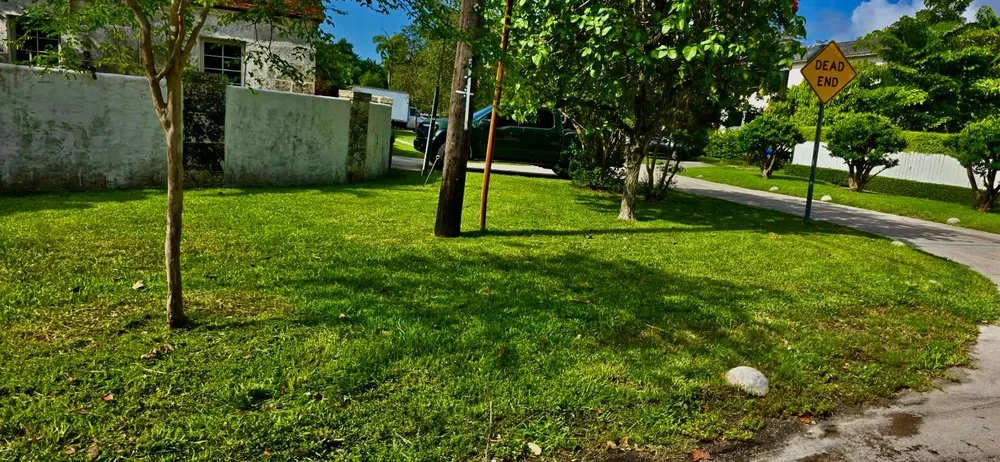 Expert landscaping services in Miami, FL by Freddy’s Lawn Maintenance