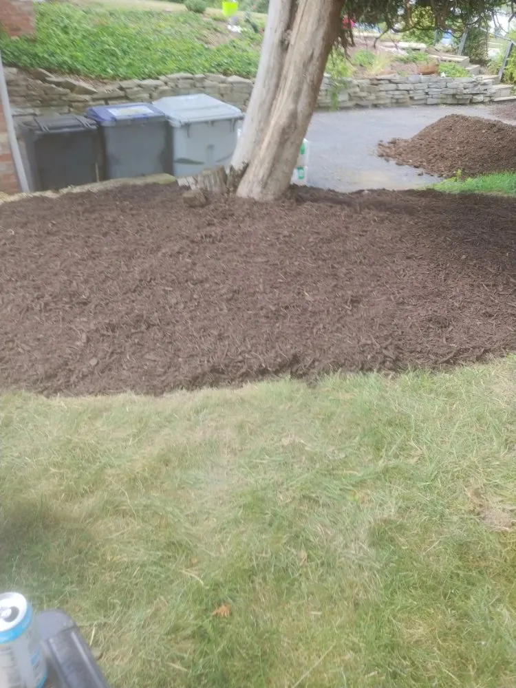 Top-rated yard maintenance for beautiful yards in Washington, PA by Freddyz Lawncare Services