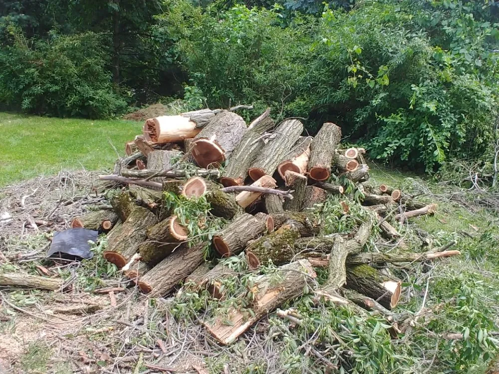 Professional landscaping services for outdoor upgrades across Washington, PA - Freddyz Lawncare Services