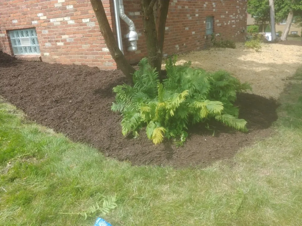 Reliable garden landscaping for homes across Washington, PA - Freddyz Lawncare Services