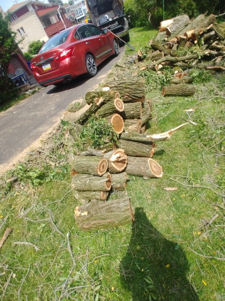 Reliable garden landscaping for residential properties in Washington, PA by Freddyz Lawncare Services