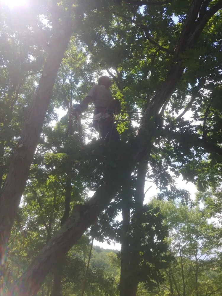 Affordable yard cleanup service with custom design in Washington, PA by Freddyz Lawncare Services