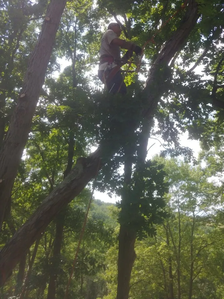 Expert outdoor landscaping in Washington, PA - Freddyz Lawncare Services